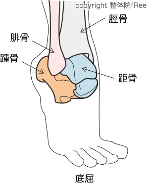 底屈状態の足首